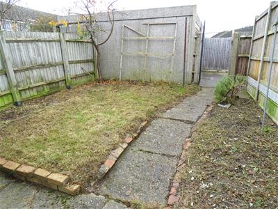 Picture 21